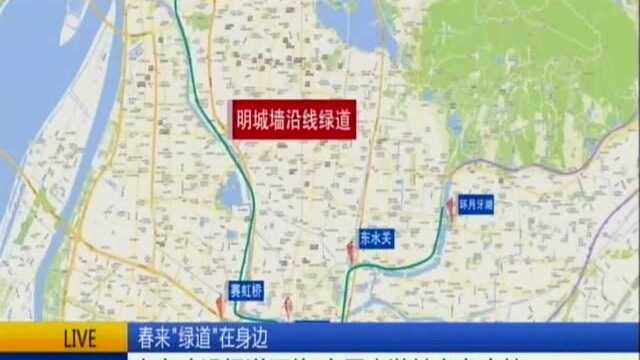 春来“绿道”在身边:南京建设绿道网络 市民出游健身有去处