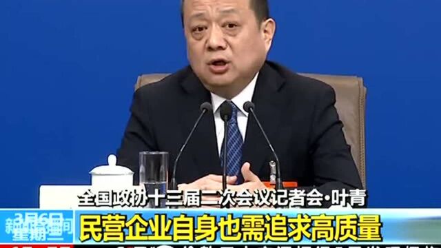 叶青:优化营商环境 民营企业自身也需要诚信、追求高质量