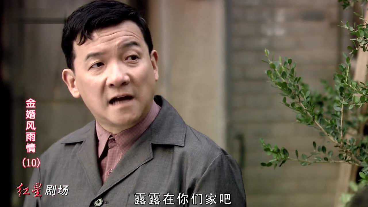 金婚风雨情 10集