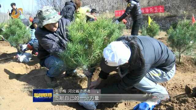 关注第41个植树节