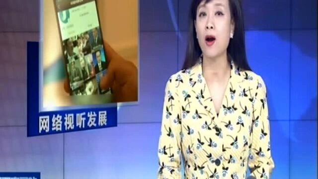 《2019中国网络视听发展研究报告》发布:网络视频用户达7.25亿