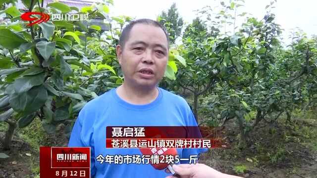 脱贫攻坚进行时 广元苍溪:既建大园区 又搞小庭园