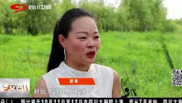 南充:坐热气球 看锦绣田园