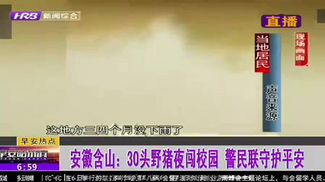 安徽含山:30头野猪夜闯校园 警民联守护平安