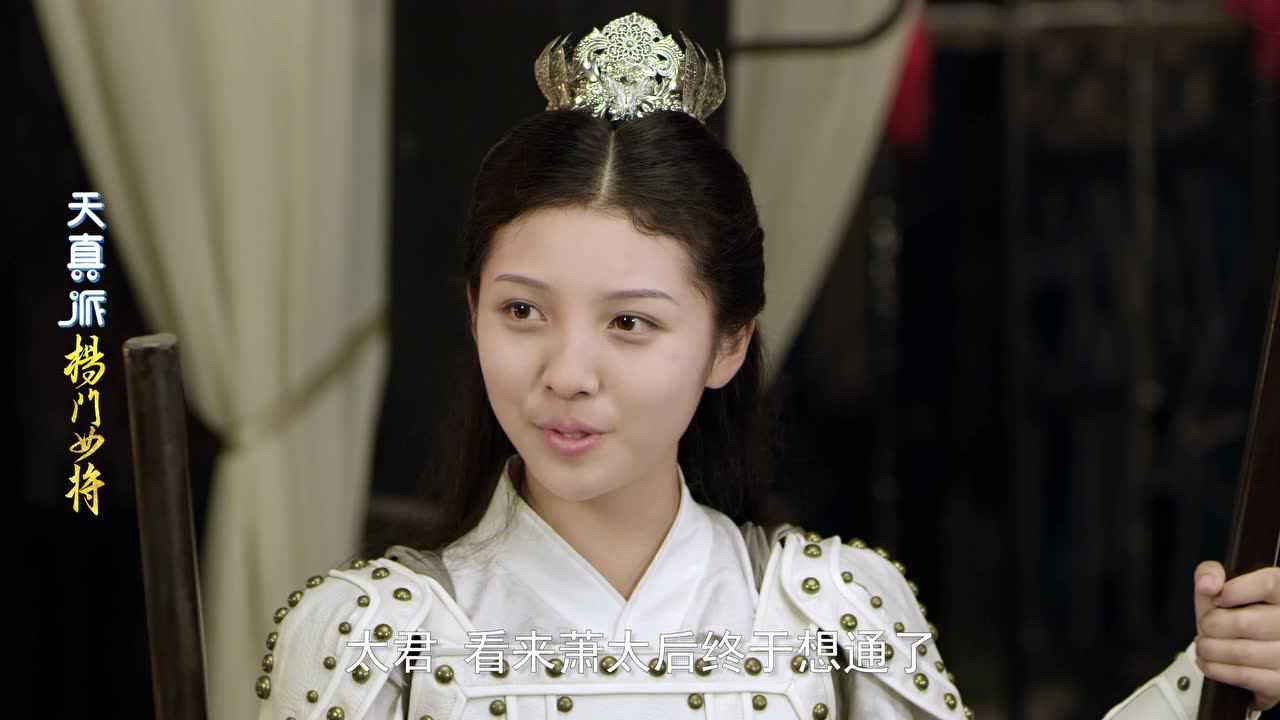 天真派杨门女将 4集