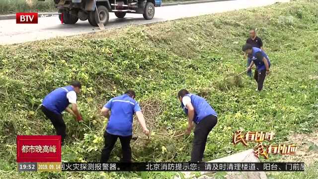 落实接诉即办 榆垡推进镇域环境整治