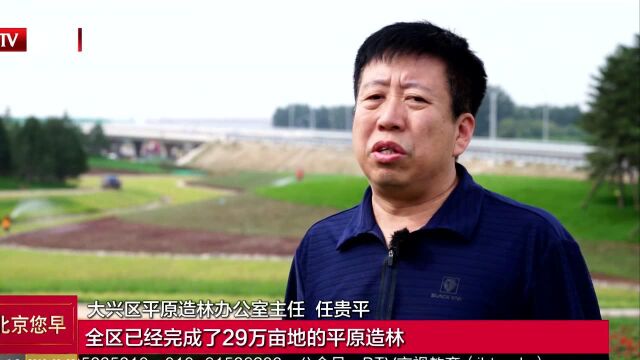 北京大兴打造5大绿色廊道 实现“穿过森林去机场”