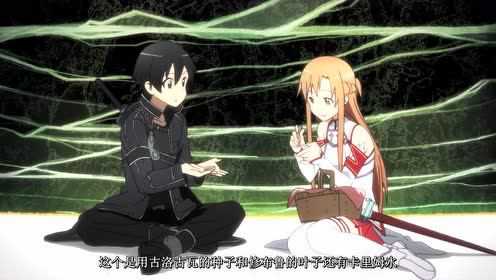 刀剑神域 第1季 9集