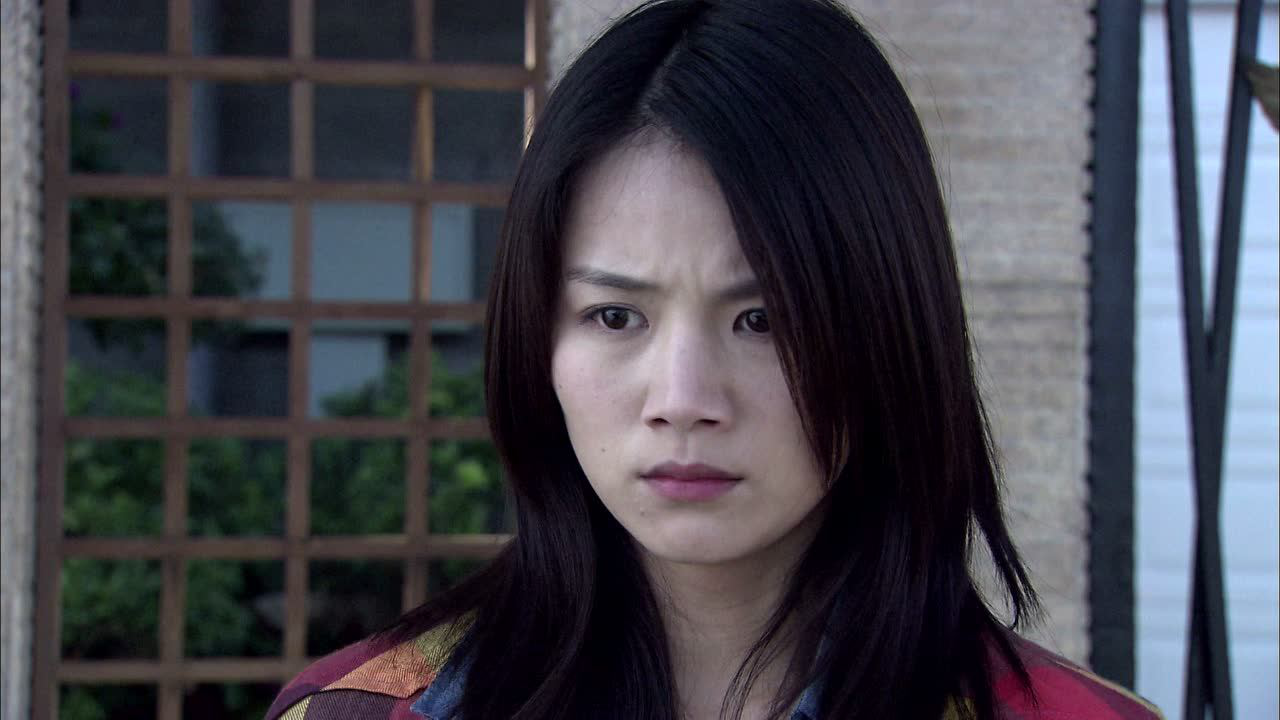 野鸭子 16集