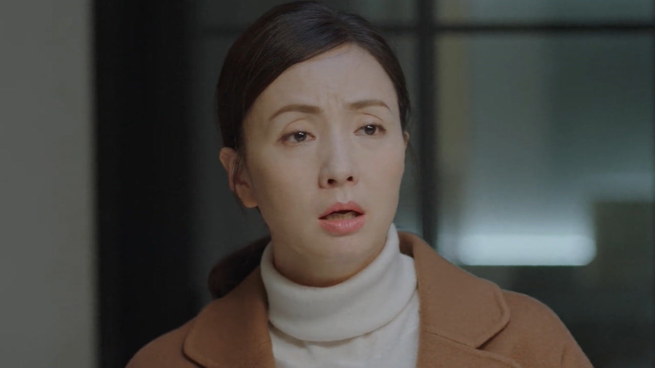 《小欢喜》第二十集03:孩子失踪找不见,乔卫东宋倩急疯了,四处打电话