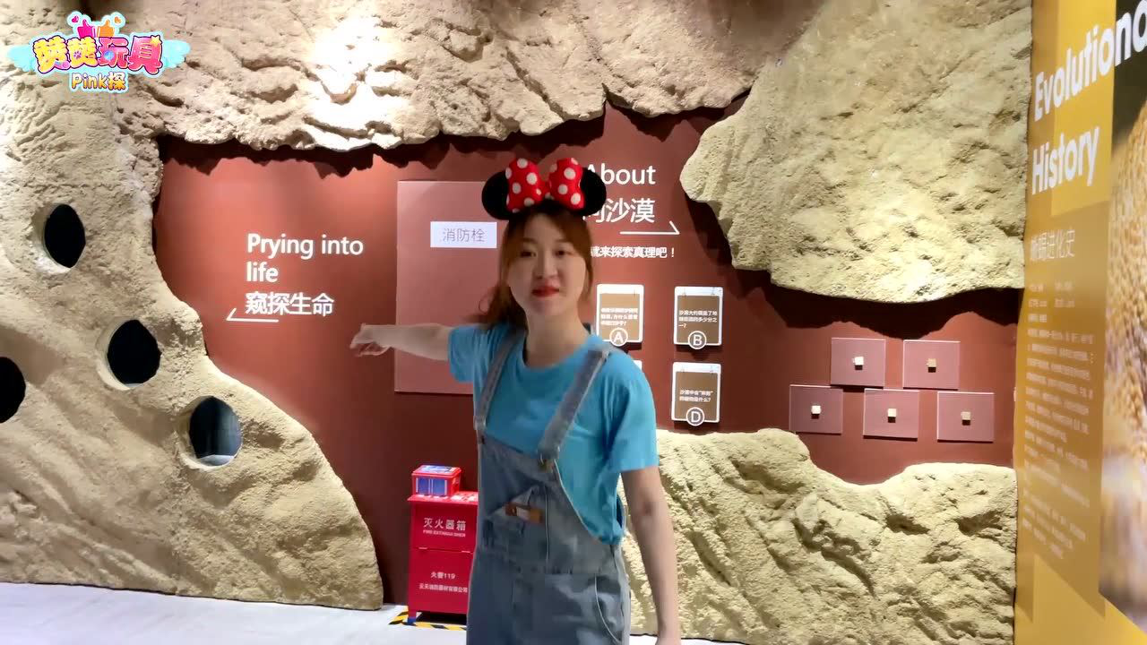 赞赞玩具Pink探：益智之旅 12集