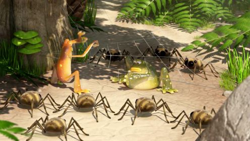 丛林特战队：独家揭秘：青蛙为什么帮蜘蛛织网？