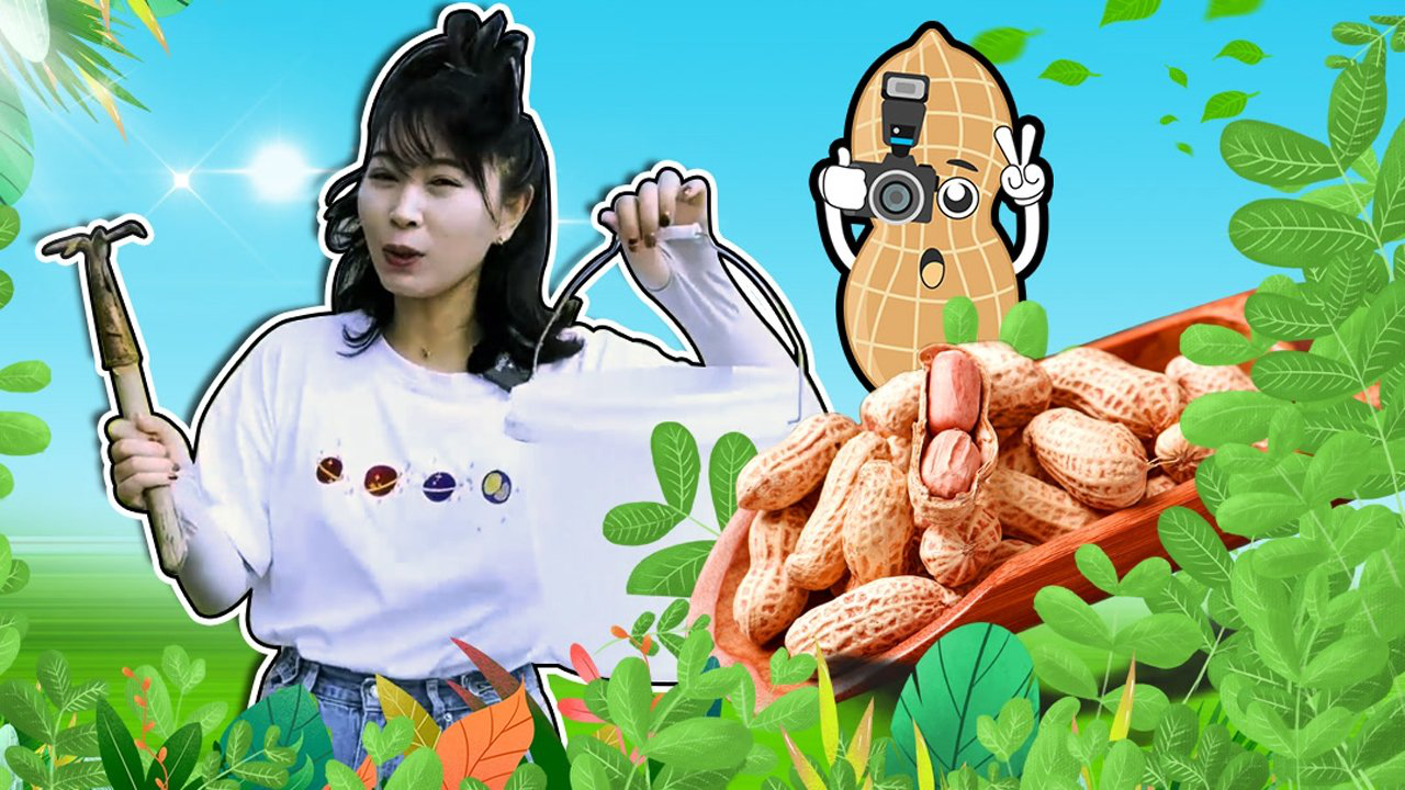 奇探队长：农场劳动季 18集