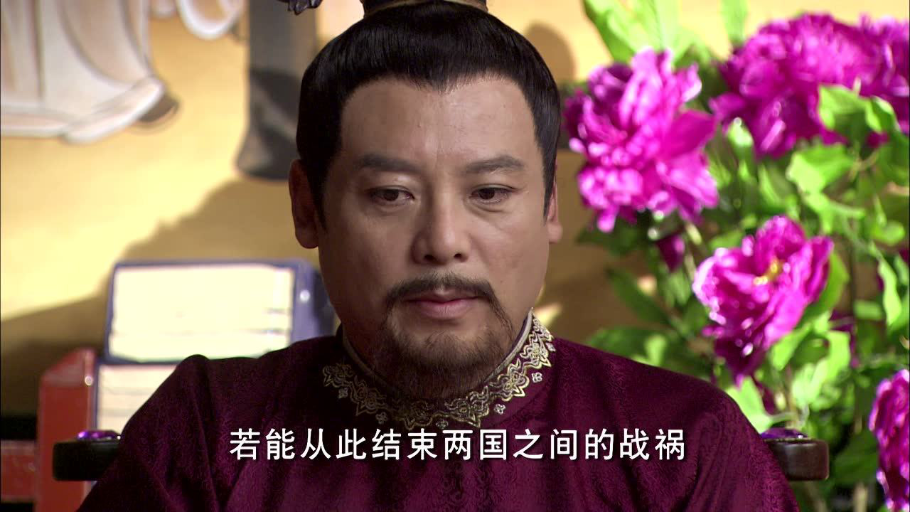 失宠王妃之结缘 14集