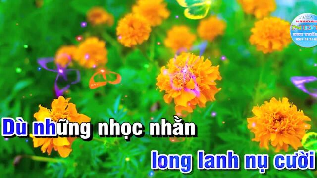 Nh氠Kh㺣 T㬮Šnh Ca  Tone Nam