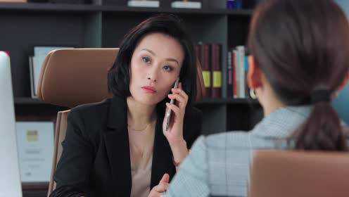 完美伴侣[DVD版] 37集