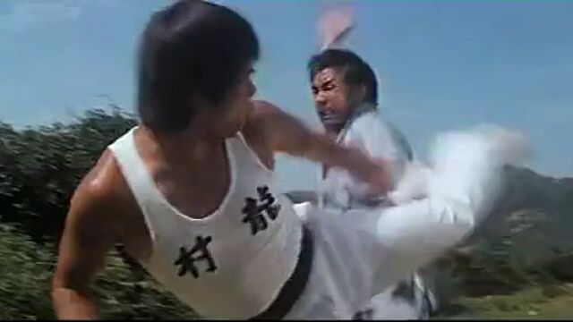 福建少林拳高光片段