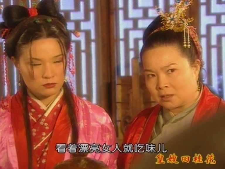 皇嫂田桂花2 21集
