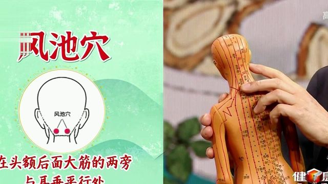 降压常按穴位→风池穴