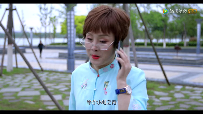 老孟说媒 14集