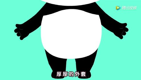 熊猫大侠_26