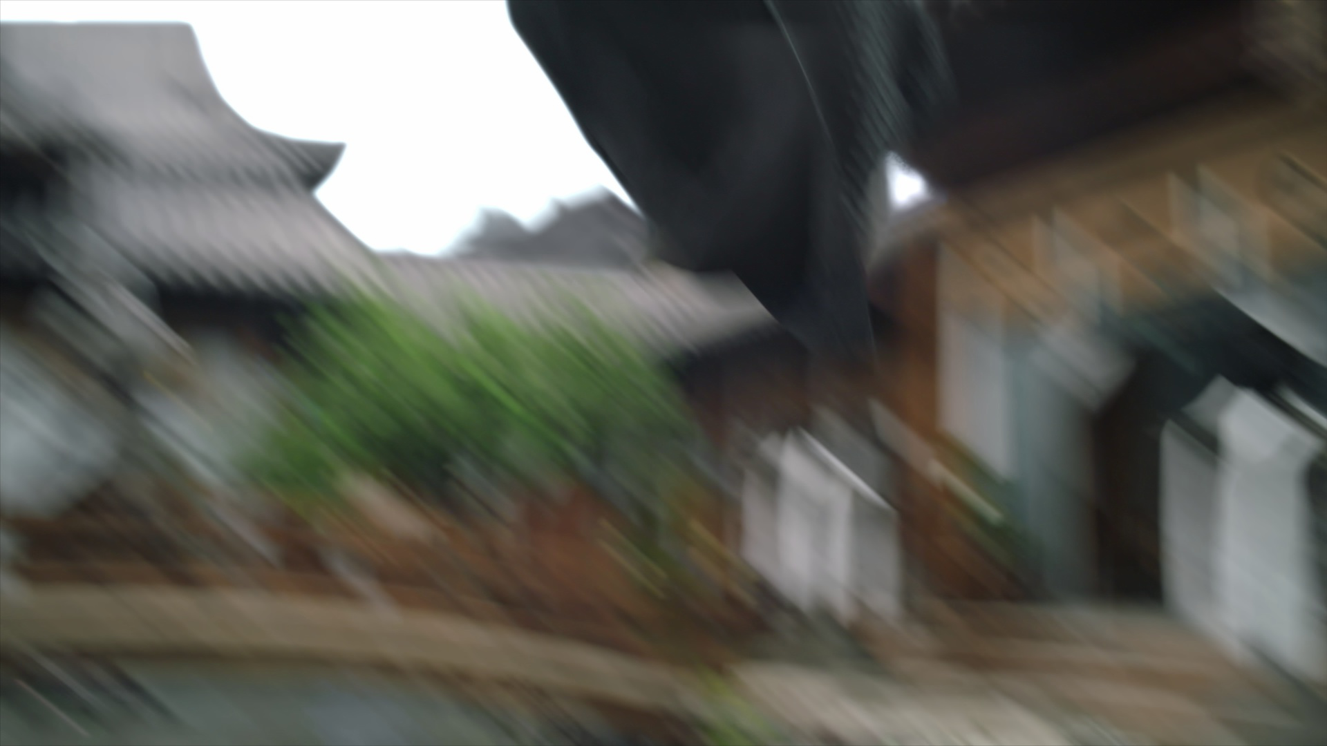 择君记 19集