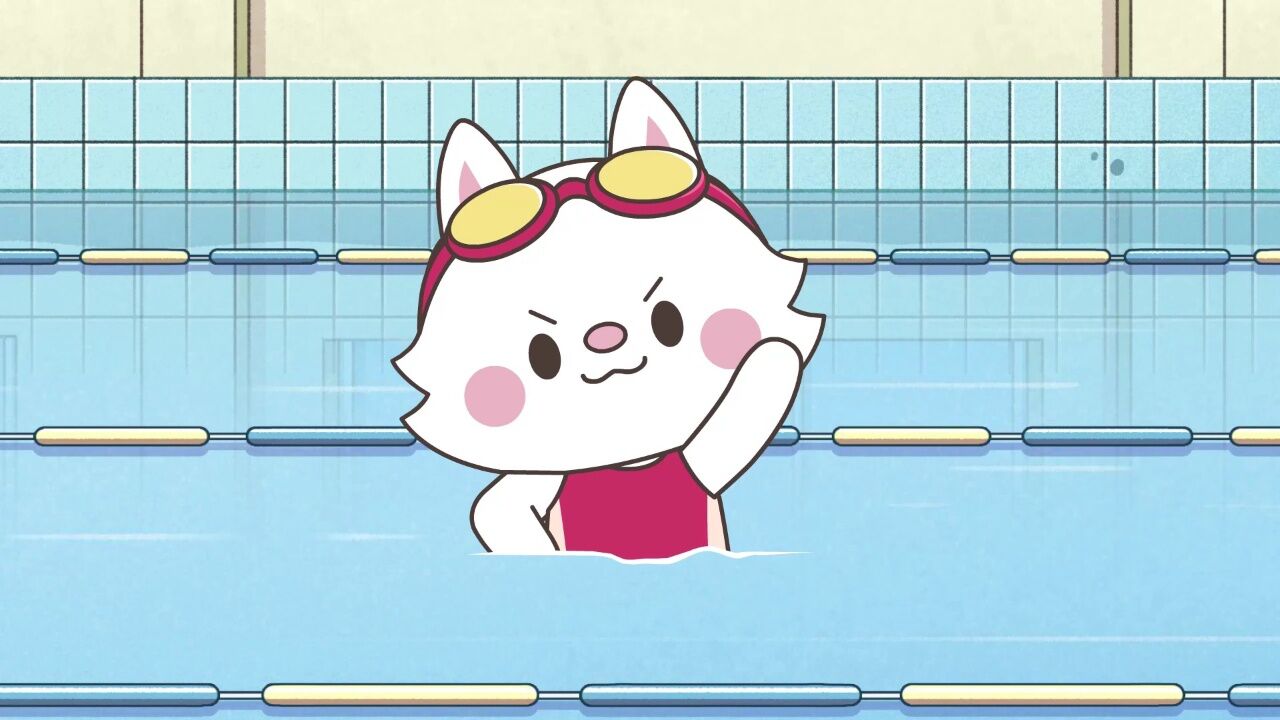 星座狗联盟之爆笑精选第二季