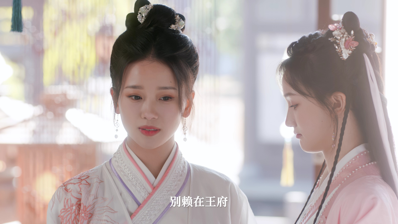 应有长风倚碧鸢 14集
