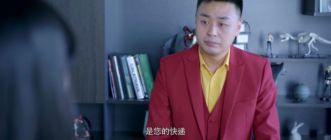 星河办事处 9集