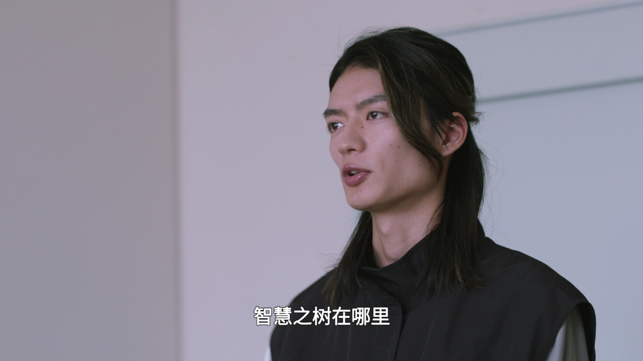假面骑士极狐 普通话版 43集