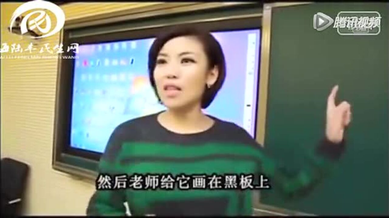 滚出去,,,,_腾讯视频