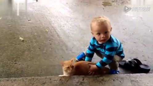 视频: 可爱的猫猫狗狗是爱孩子的 编辑版