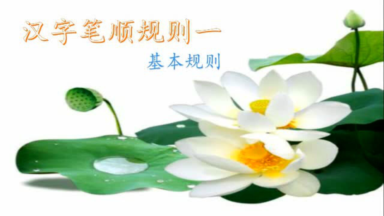 笔顺第一课——笔画顺序规则_高清1080P在线观看平台_腾讯视频
