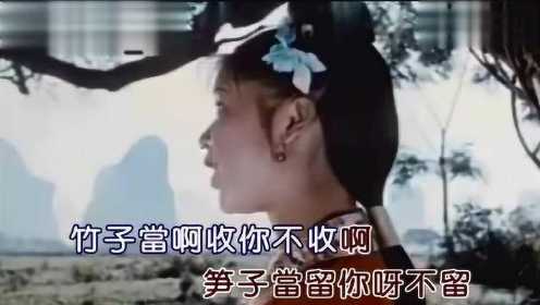 电影《刘三姐》插曲《世上哪见树缠藤》岁月无声，经典难忘