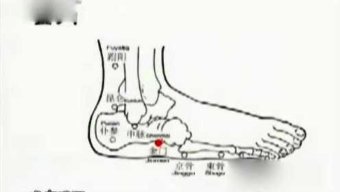 感冒偏方大集合 专治风寒感冒风热感冒暑湿感冒