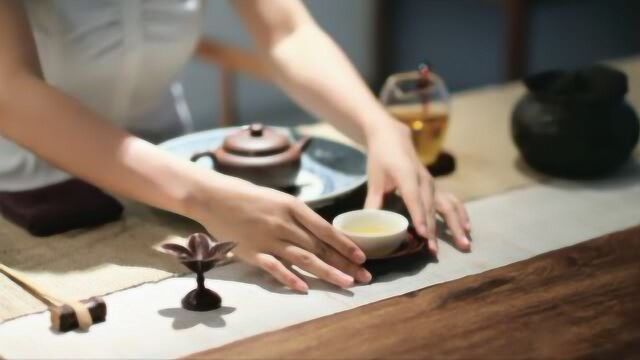 茶艺入门到精通零基础开始