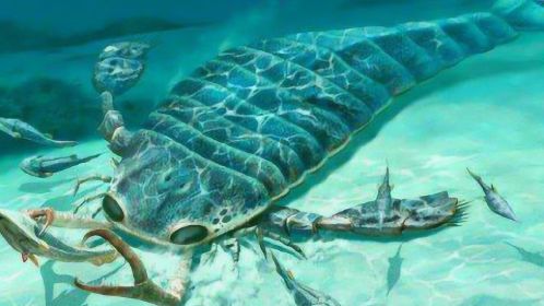 远古海中霸王:海蝎子,尾部有毒液