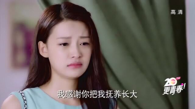 因为遇见你张雨欣遭报应流产张果果记起往事