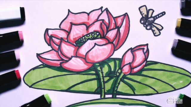 神笔简笔画 - 荷花浓妆淡抹总相宜
