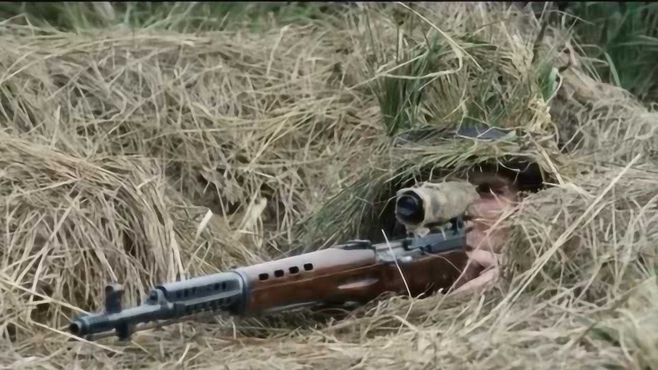 坦能堡防线战役一场自斯大林格勒之后二战东线最激烈的战役