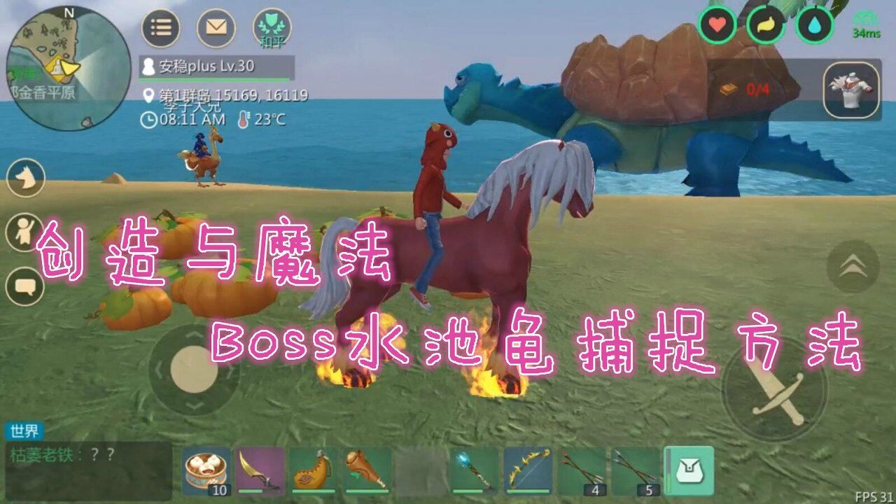 创造与魔法boss水池龟捕捉方法