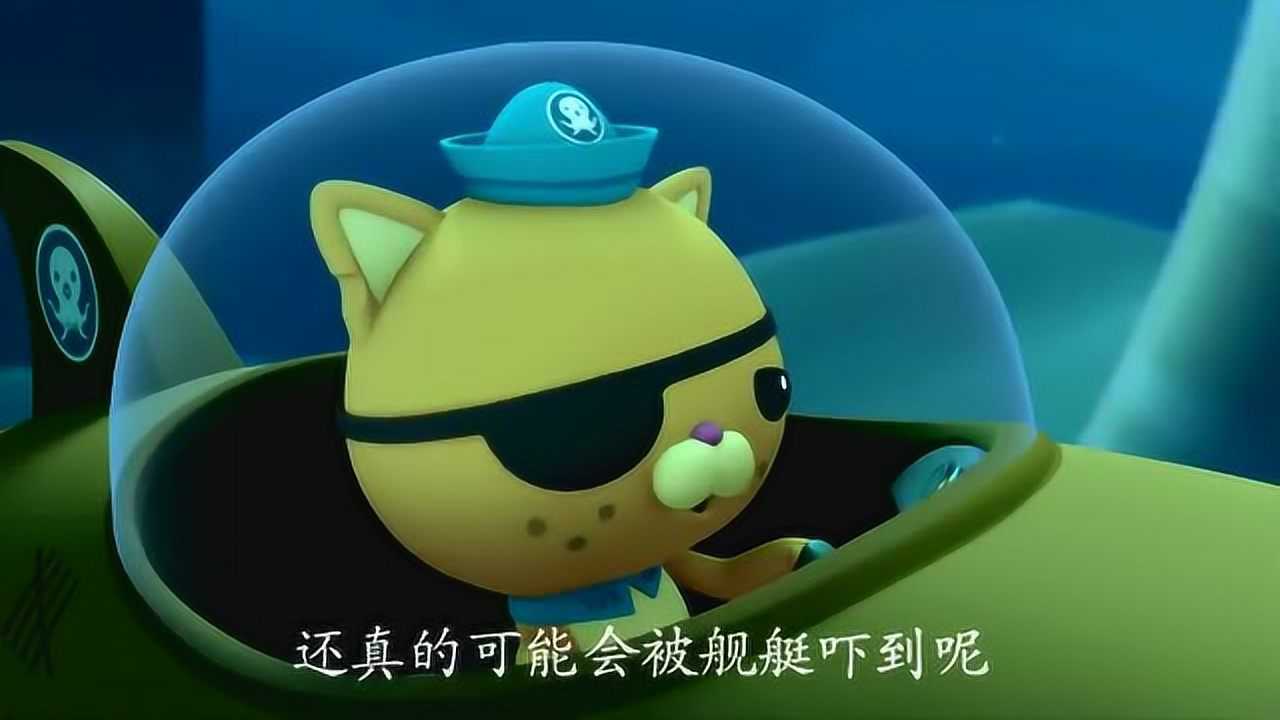 海底小纵队与双髻鲨