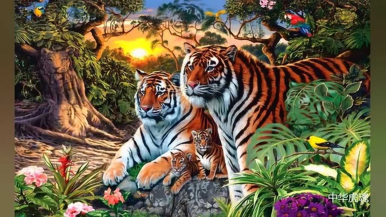 考眼力的时候到了数数有几只老虎