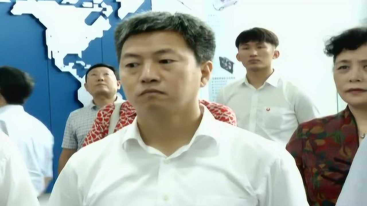 青岛市政协主席一行考察经开区_腾讯视频