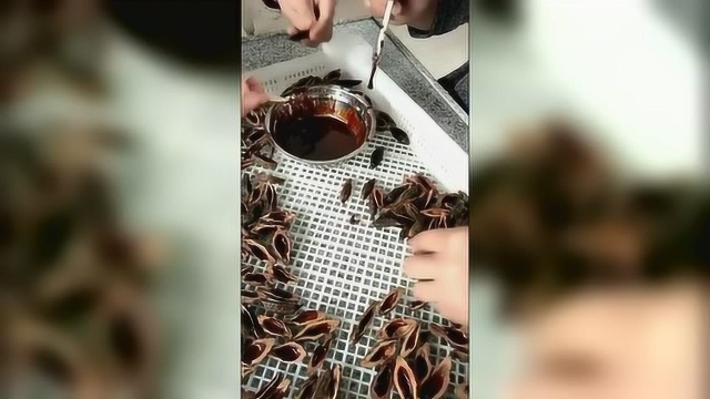 槟榔的制作过程我发誓再也不吃了