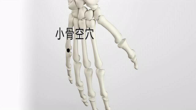 将象和中医艾灸针灸取穴:小骨空穴