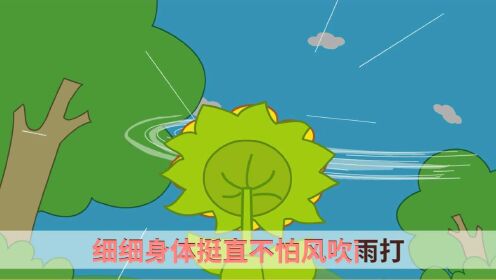 咕力儿歌:向日葵花