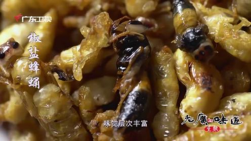 老广的味道第三季之：生吃蜂蛹