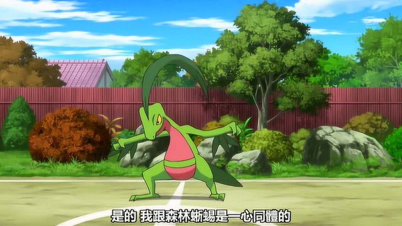 神奇宝贝,翔太的木守宫进化成森林蜥蜴后也被小智压着打_腾讯视频