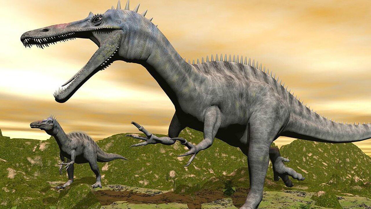 恐龙是恐龙世界的霸主吗错了恐龙见了它除了逃跑也没有办法